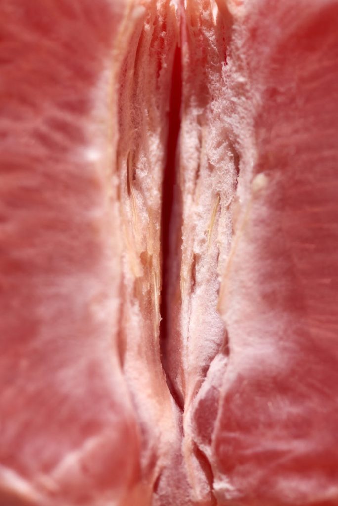 close up shot of grapefruit